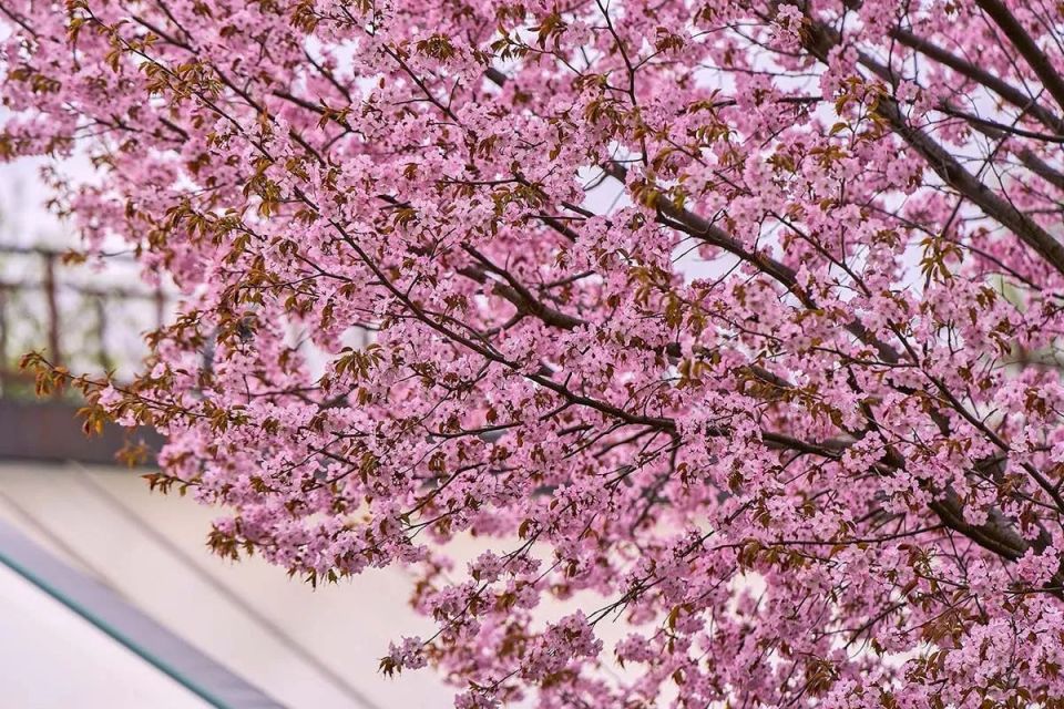 �������� ������ � ����������� �������