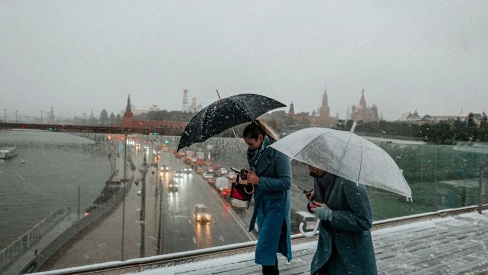 ������ ���� � ����� ������� ������� ������, � � ����������� �������� �������