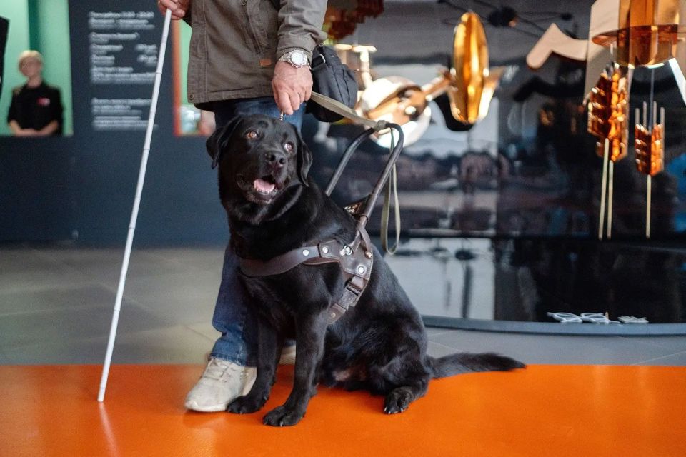 ���������� ���������, ����������� �������-���������, ������� �� ���� 29 ������