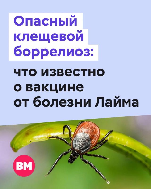 � �������� ������� ������ ������� ��������� ������� �� �������� ����������� ���������� ������� �� ������� �����