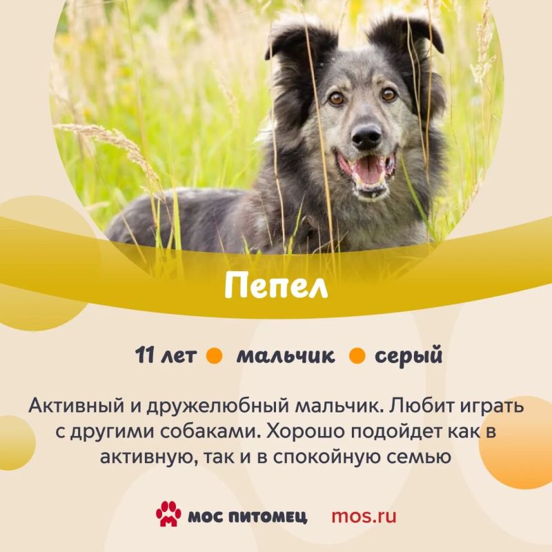 ���������� ����� �������������� ���� � ����� ����� ������� #�������������������! �������� ��� � ����������� ��������� �������, ��� ������������� ��������� � ������ �������� ������ �� ������� �����������: