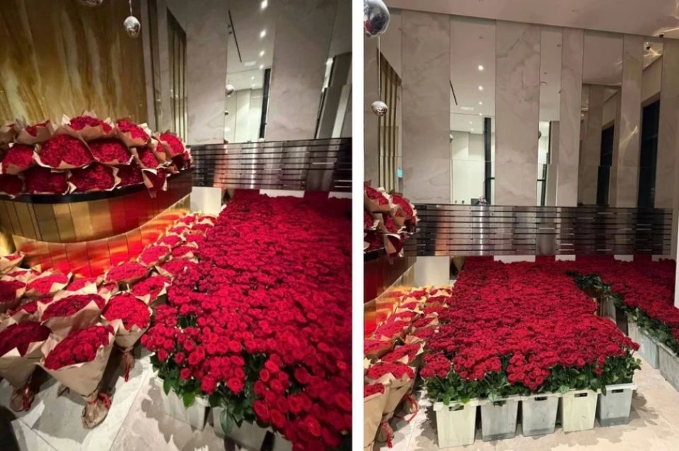 ������� ������� ������� ������� ������� ���� ���