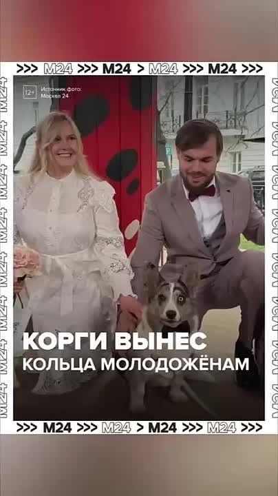 � ������ ��������� ����� ����������� ����� � � �� ������� ���� ��-���������� ���������! ������ ��������� �������������� �������� �� ����� ���������� ���������