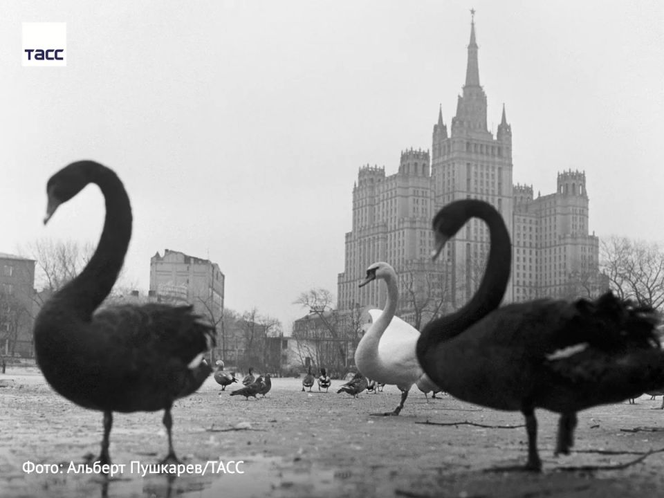 #�����_����_������. ������ � ��������