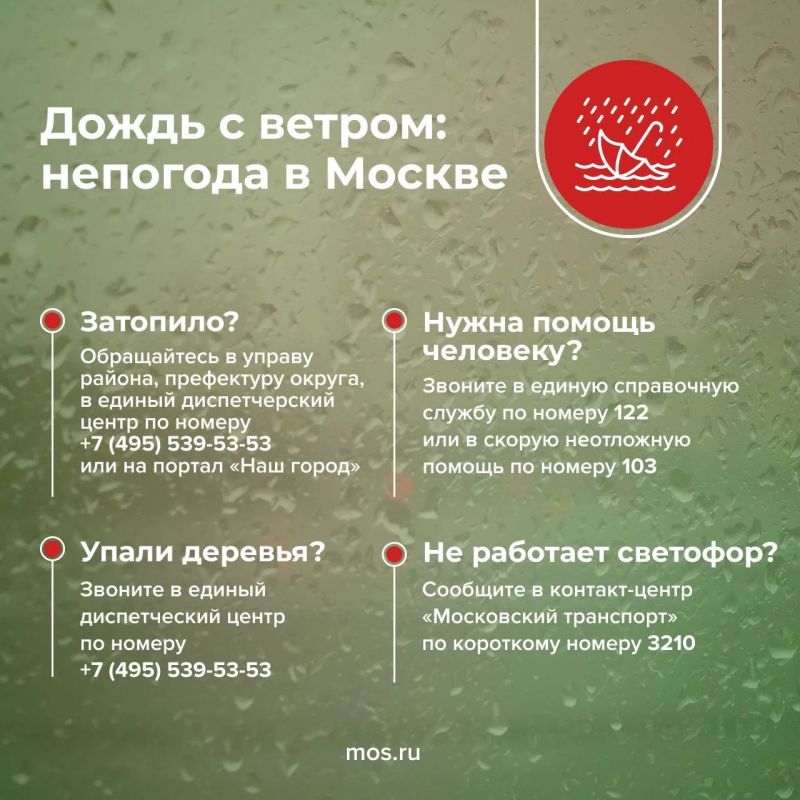 � ������ ��������, ��������� ������������ ����� � ������� ����� � �������� �� 15 �/�