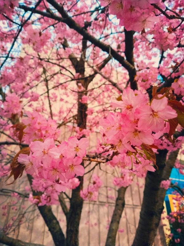 ���� �� ����� ��������, �� ���������� ��� ��������� ����� � ��� �������� ������!