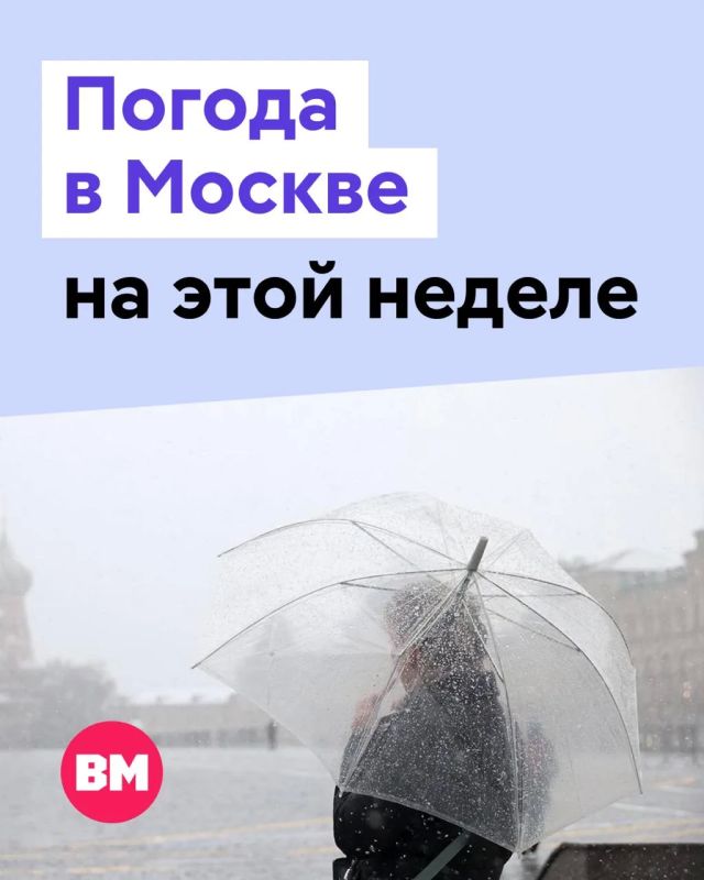 ��� � ������ �����: ��� ������ ����������� � ���������� ������� ����� ����, ��� � ������� ���