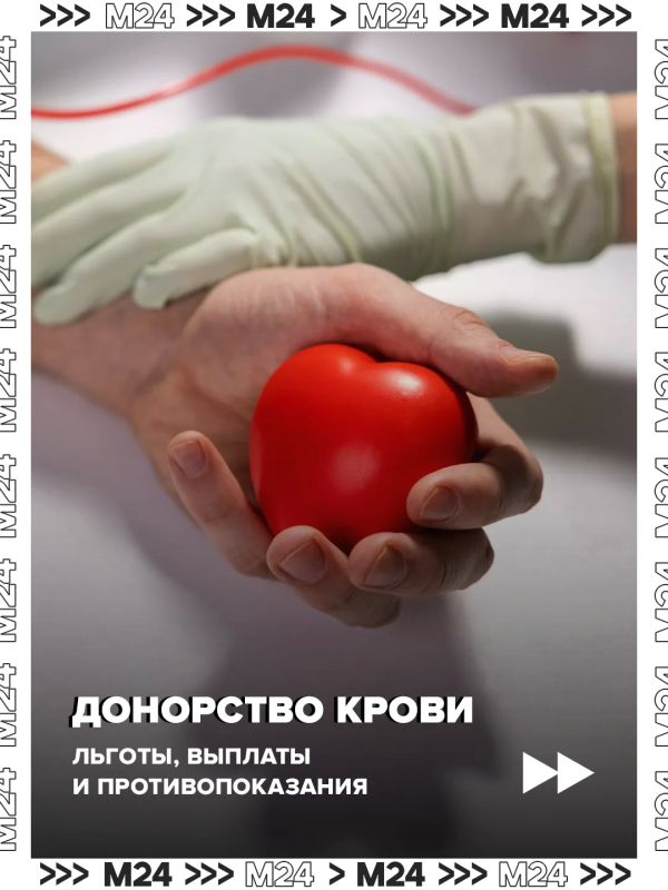 15 �����, ������� ����� ������ �����: � ������ ������� �������� ������������ ���� ������ � �������� ������, ������� �� ����� �����