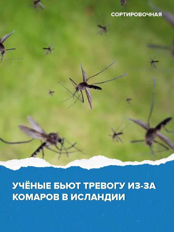 ����������� ������� � �������� ������� � ��������� ��������� �������