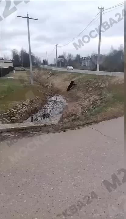 ������� ��� �� ������� ������ � �����������