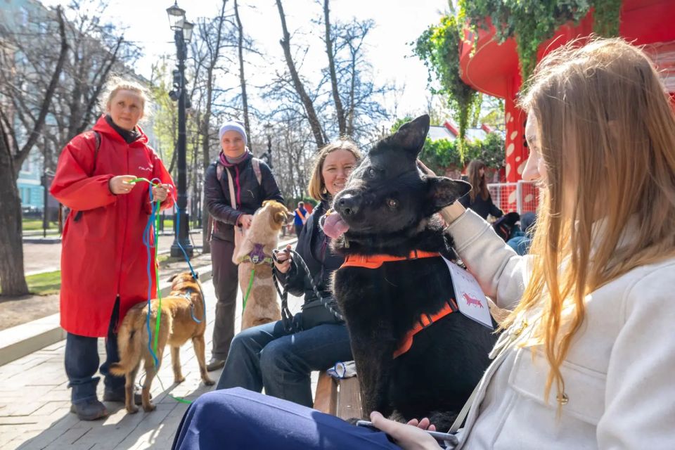 �� �������� �������� ���������� ������ ����������� � ������������ ����