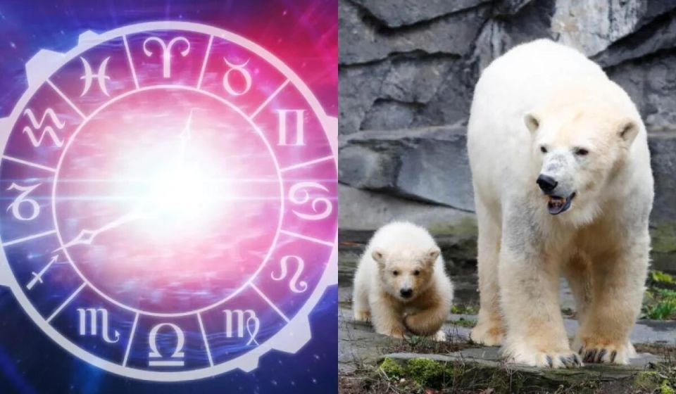 ���������� � �������� ���: ��� ���� ������� � ������� ����������� ��������