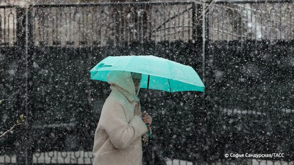 ����� � ������ ���� ��������� ����������� ����� � ���������� �������