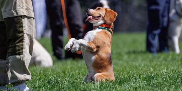 ������ �� �������� ����� ������ �������� ����������� 23 ������