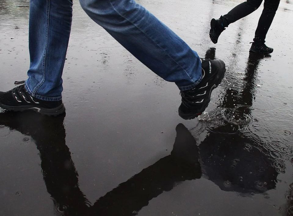 ����� ������� � ������ �� ����� ������� ������