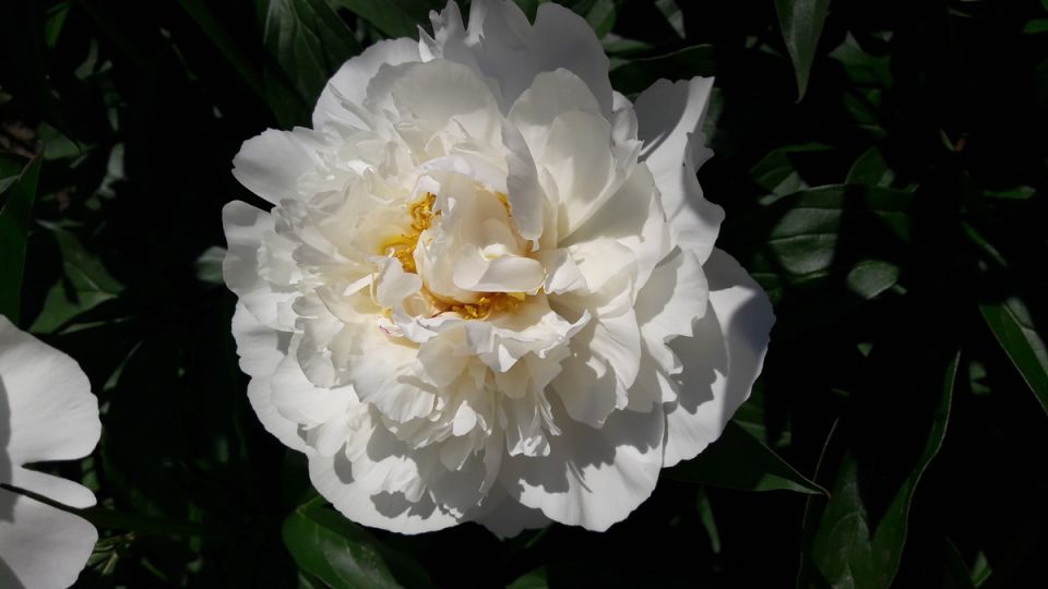 ���� '������� �������': ����� ����� ������� � �������� ����