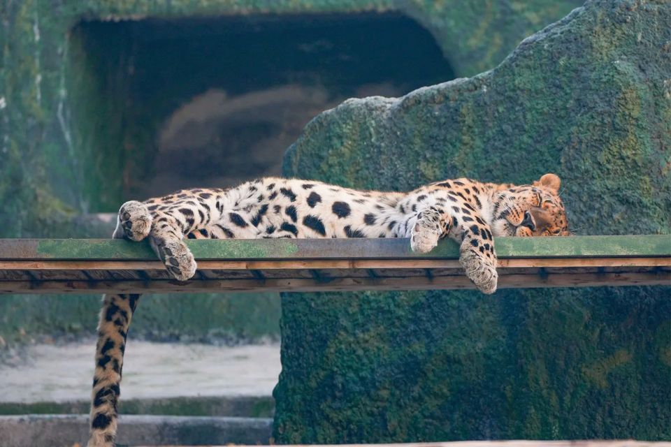 ��� ����� �� ������ � ��������������� ���������? ��������� ���� � ����� ��������� ���������� ����������