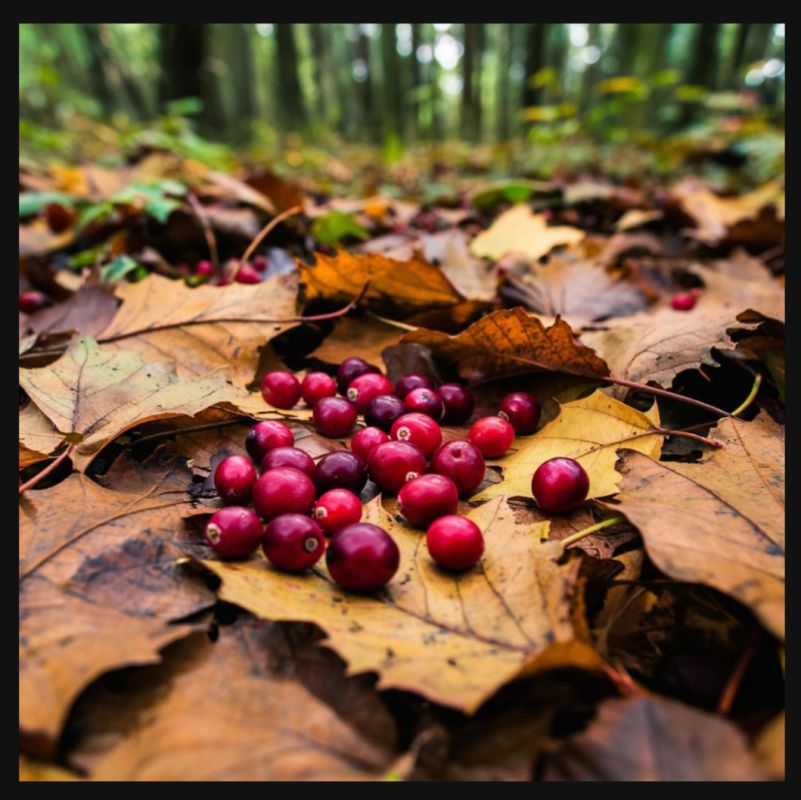 �������� �� �������� � ������: ���������� ������� ��� ������ �������