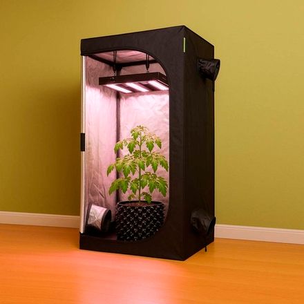 ����� ��� �� �����������: ��������� ������� ��� ���������