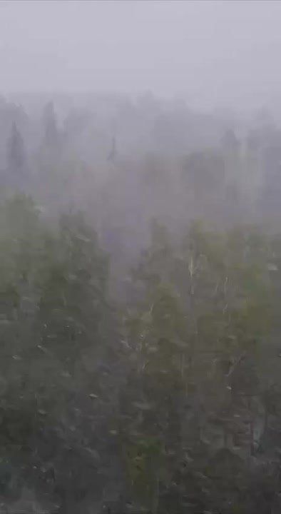 ���������: ����� � �������� ��� ������ � ������