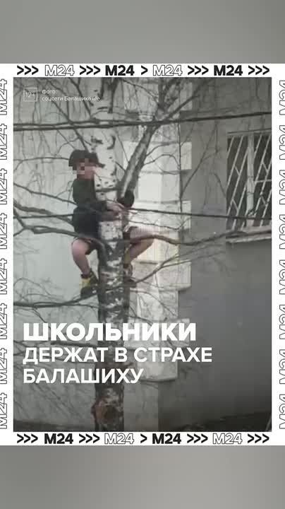 ����� ��������3 ������� ����� ������������� �����������