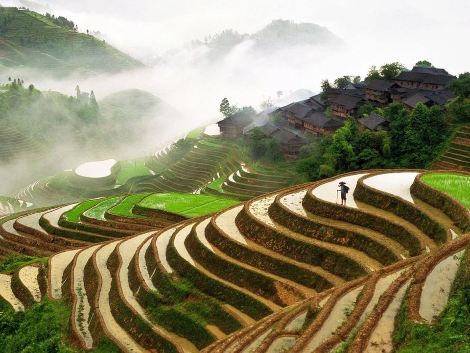 ��� ������ ���������� ������� ������ ������� �����