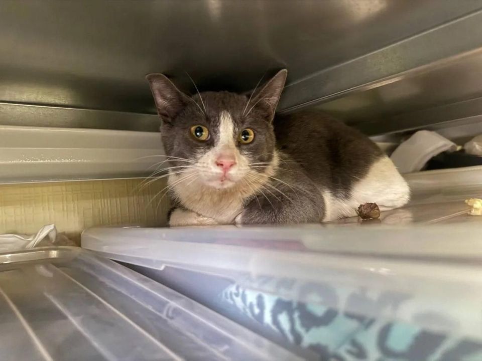 � ������ ������ ����, ������� ���� �� ������ � ������