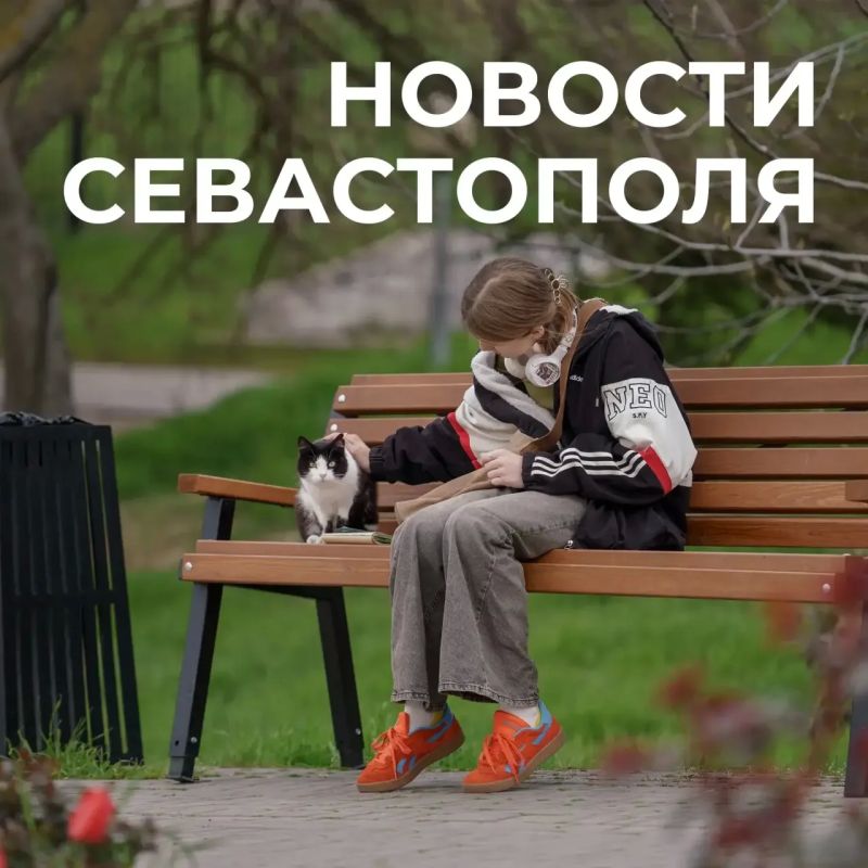 ������ ���������: ������� � �������:. ������� �������� ����� ���