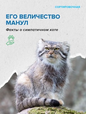 �������� ������������� ���� ������