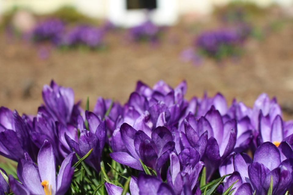 ����� � ����: ������ ����� � ����������� ��������