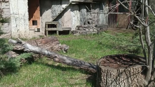 ������� �������� ����� ��������, ������� � ����������� �����, ������� �������� ���� ������!