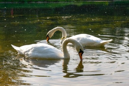 ����� � ������: ���������� ����� ������������ ����� ������� � ��������� �����!