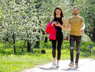 ����� ������ � ������ ����� 28 ������, ������ ���������� �� 14 ��������