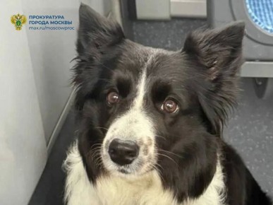 ����� ����� ���������� �������, ���������� � �������� ��������� � ��������, ��������� ��� ������