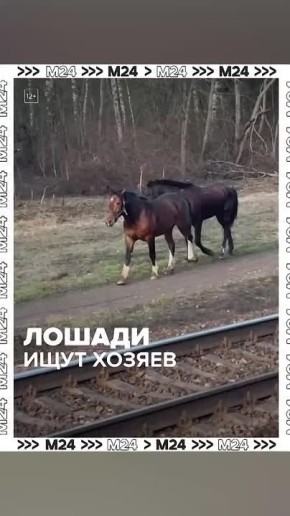 ��������� ������� ������� �� �������� ��������� � ����������� ����� �/� ����� � ������ ������� ������������ �� ����������� �����������