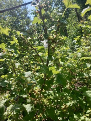 ��� �������� �������� � ���������� ������ ������ ��������� � 2025 ����: ������ ������