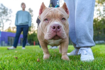 � ������ ��������� ������ � ������ �������� ��� ���� ���������� �����! ������ �������� ����� �������� ����� �������� � ��������� �� ����, � ��� ������ ������ � �����������