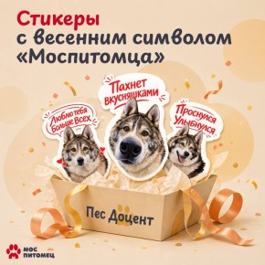 ��� �������� ���������� � �������������� ��� ������ � ������ ��������� �� ����������� ��������! ������ ��������� �����, ����� �������� ����� ����� �������� ������: