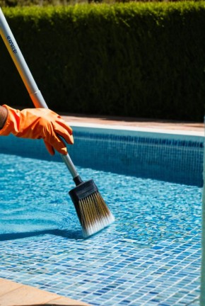 �������� ��� ������� ������ ��������: ������, ���� � ���������� �� ����������