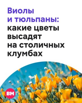 � ������ ������ ���������� ������ �����, � ����� ��� �������� �������������� �����