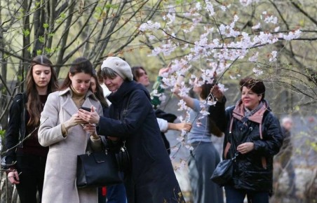 �������� ������������ �� �������� ������ � ��������������� ����� �� ������