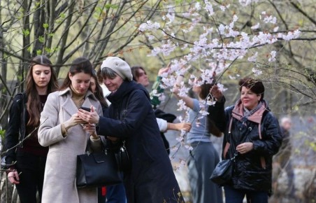 �������� ������������ �� �������� ������ � ��������������� ����� ������ �� ����������