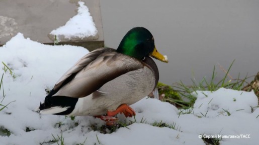 ��������� ������� ������ ������� �� 7 �� ����� ������������ � ���������� ������� �� �����, �������� ���� � ��������������