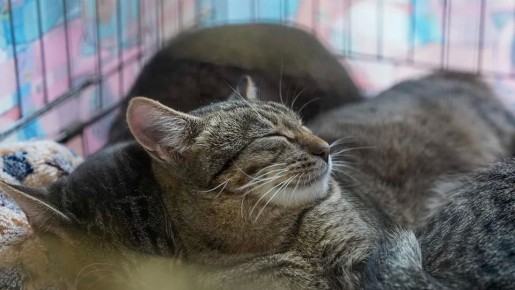 ������ ��������, ��������, ������� ����, ���������, ������� � ��� � ������ ������ � ����� �� ��������� ������� ���� ���