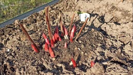 ������� ��������� ����� �� �������