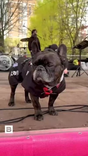 ����� ����������� ��������� ������ � ������� ��������� � ������, �������� �� �����