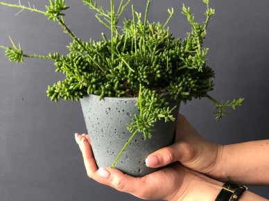 ���� �� ���� � ����������: ���, ��� ����� ����� �� ����� � �����������