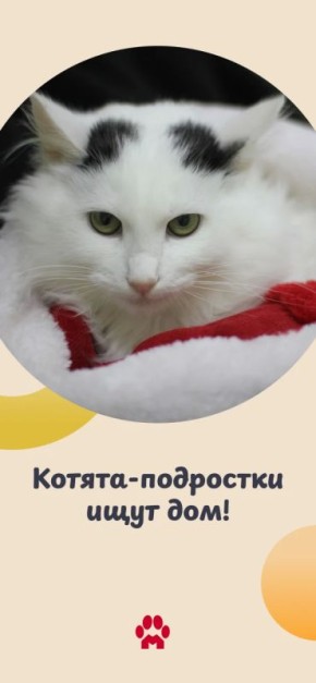 ������-��������� ���� ����� �����! ���� ������� 9 �������, � ��� � ����� ��������: ����� ��������, ������ �����������