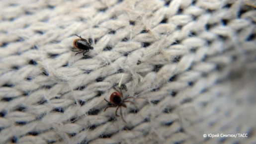 ����������� � �������� �� ������� ������, ������� � ������� � ���������� �������, ��������� ���� ������ ��������� �������� ���� �������� ������