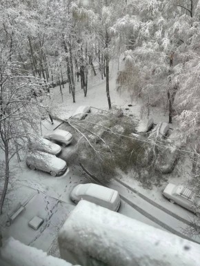 ������ ����� �� ���� �� ��������-���������� ����� ����������� �����